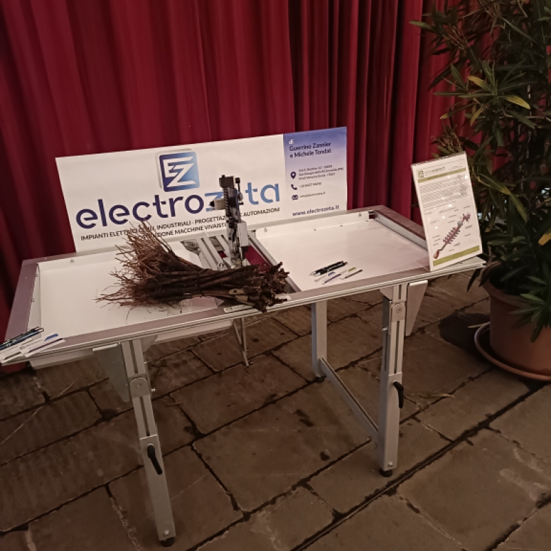 HIGHLIGHTS DEL 50° CONGRESSO M.I.V.A.  - Gallery