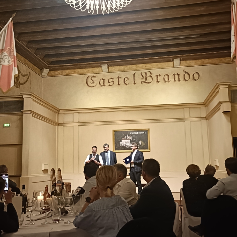 HIGHLIGHTS DEL 50° CONGRESSO M.I.V.A.  - Gallery